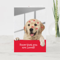Ouro Retriever Birthday Lipstick Kisses