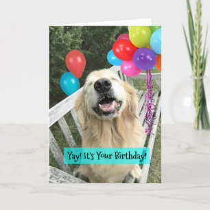 Cartão Ouro Retriever Cachorro Com Balões Aniversário