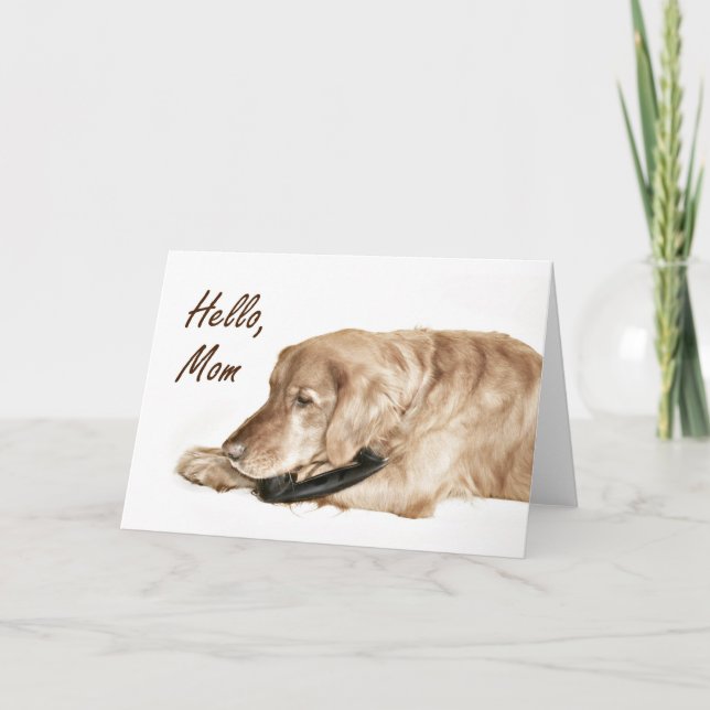 Cartão Ouro Retriever chame a mãe (Frente)