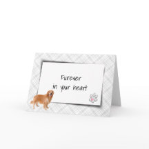 Ouro Retriever Na Xadrez Pet Perda Simpatia