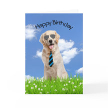 Ouro Retriever Para Aniversário