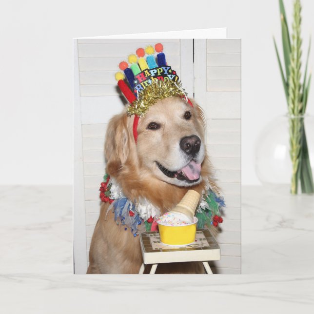 Cartão Ouro Retriever Paw-some Birday (Frente)