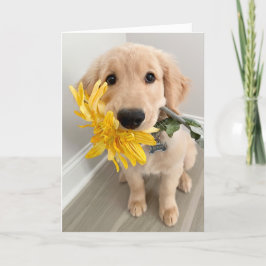 Cartão Ouro Retriever Puppy Com Dia de as mães Flor