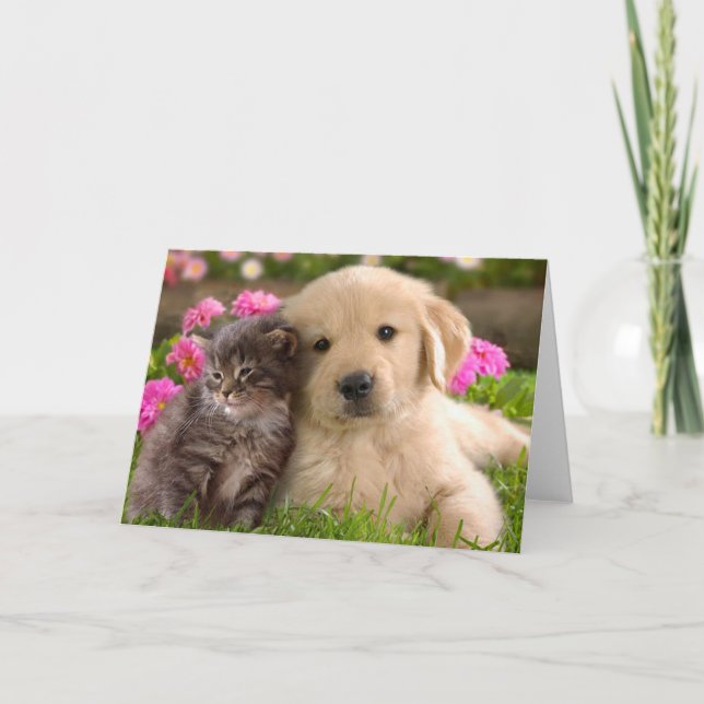 Cartão Ouro Retriever Puppy Dog & Kitten Love (Frente)