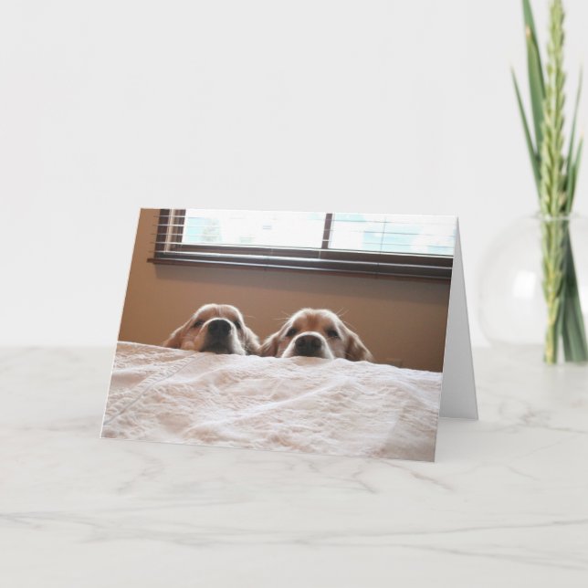 Cartão Ouro Retriever Up Ainda Dia de as mães Card (Frente)