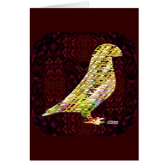 Cartão Ouro Show Racer (Frente)