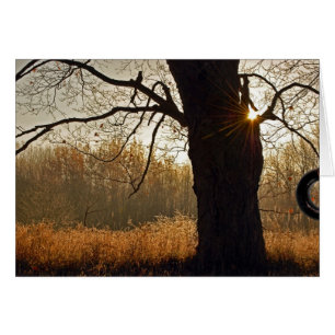 Cartão Ouro Sunrise