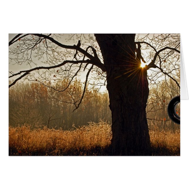 Cartão Ouro Sunrise (Frente Horizontal)