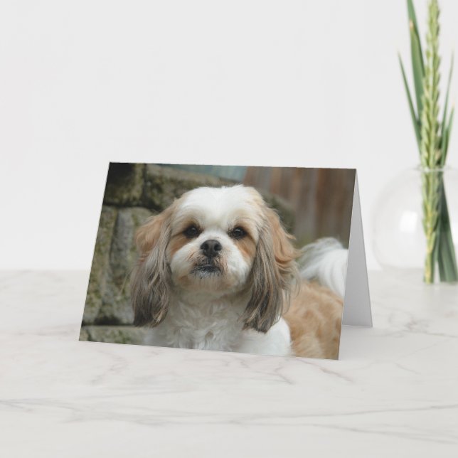 Cartão "Out of Bones" Pet Humor Greeting Card (Frente)