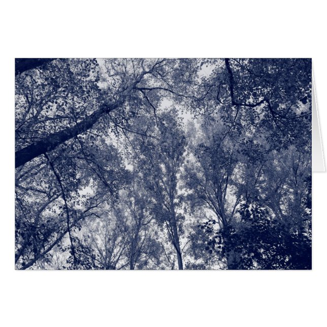 Cartão Outono Azul (Frente Horizontal)