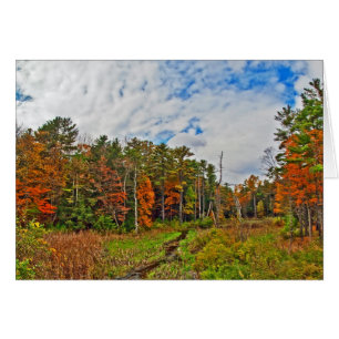 Cartão outono do Nordeste