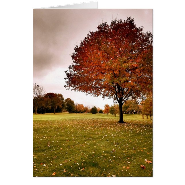Cartão Outono em Iowa (Frente)