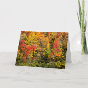 Cartão Outono em Sims Pond Carolina do Norte, Blue Ridge