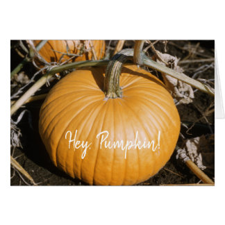 Cartão Outono Grande Laranja HALLOWEEN Pumpkin Fall Squas