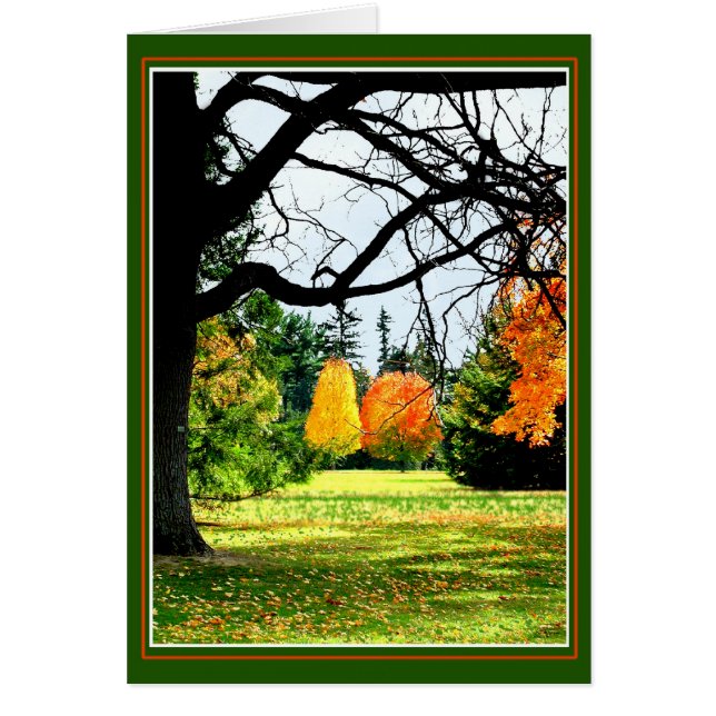 Cartão Outono No Parque (Frente)