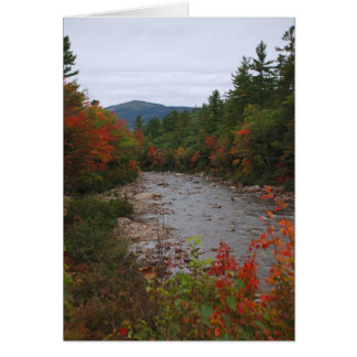 Cartão Outono no rio
