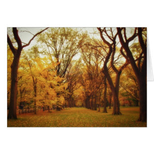 Cartão Outono - Nova Iorque