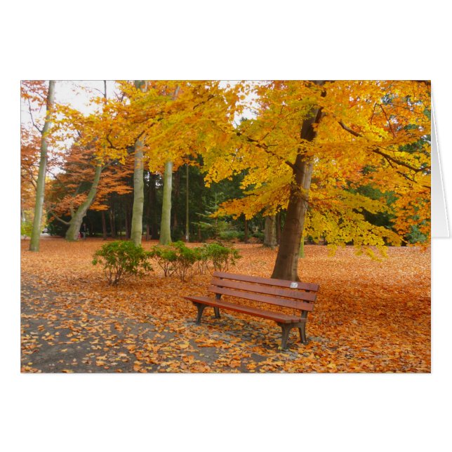 Cartão Outono pacífico e silencioso no parque (Frente horizontal)