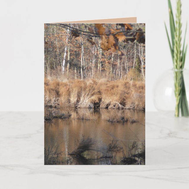 Cartão outono tardio (Frente)