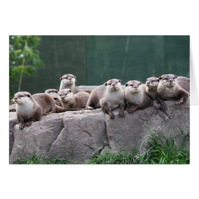 Cartão Outra família (Frente Horizontal)