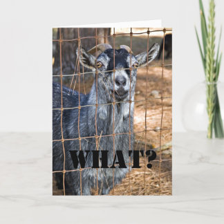 Cartão Outro Aniversário?