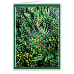 Cartão Outros bancos selvagens