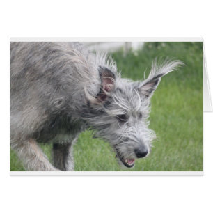 Cartão ouvidos em movimento