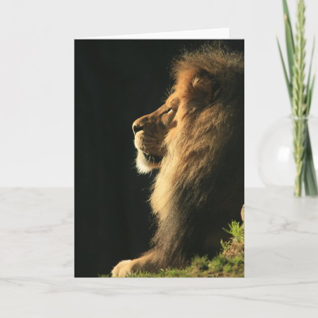 Cartão Ouvir o Sol (Frente)