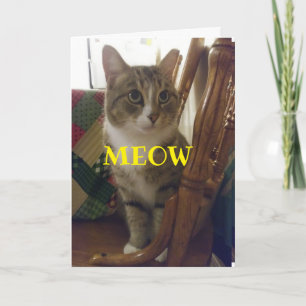 CARTÃO OUVIR QUE VOCÊ ESTÁ AGORA *60* É MELHOR QUE UM RAT