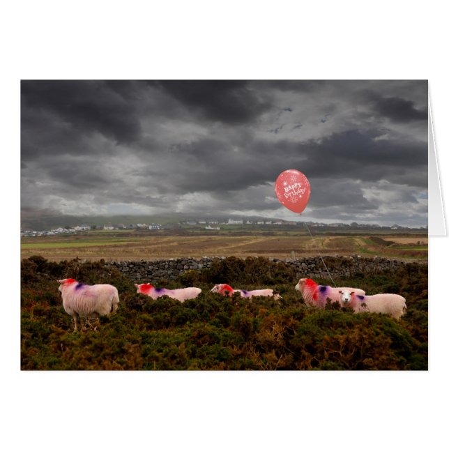 Cartão Ovelha de aniversário (Frente Horizontal)