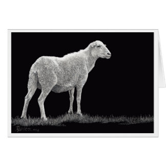 Cartão Ovelha de Tempestade