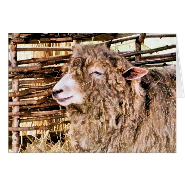 CARTÃO OVINO DE BOVINO (Frente Horizontal)