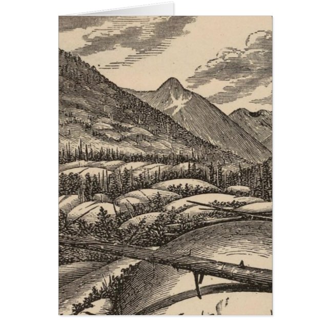 Cartão Ovinos (Frente)