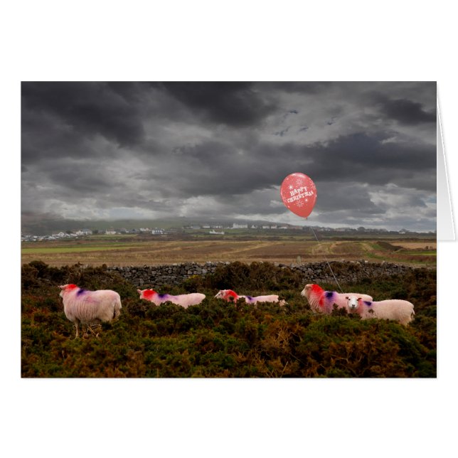 Cartão Ovinos de Natal (Frente Horizontal)