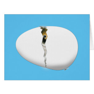 Cartão Ovo de Incubação