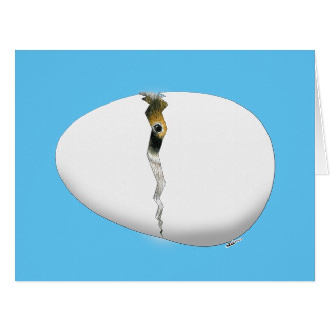 Cartão Ovo de Incubação (Frente horizontal)