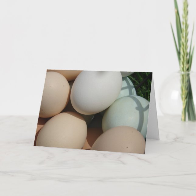 Cartão Ovos (Frente)