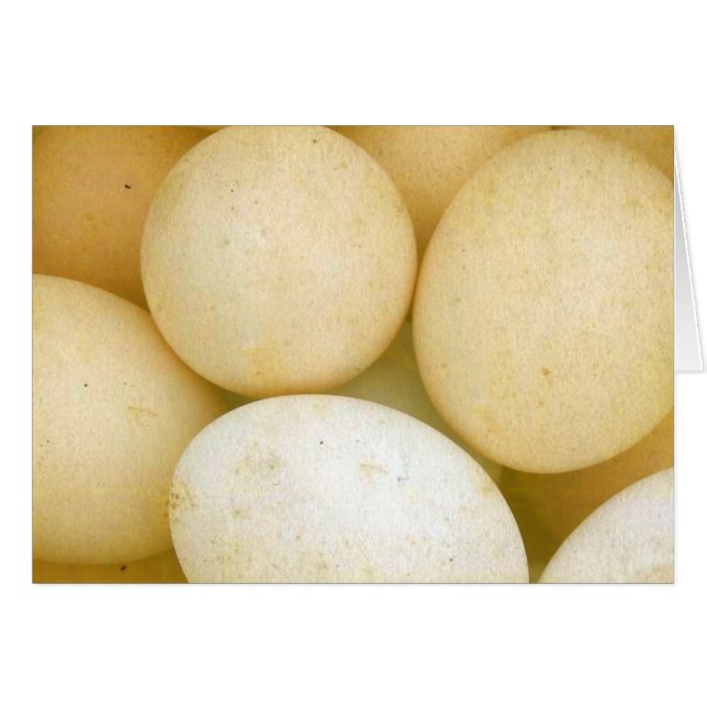 Cartão Ovos (Frente Horizontal)