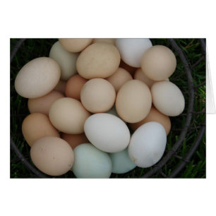Cartão Ovos