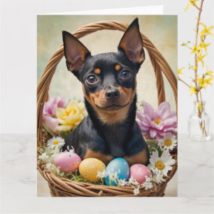 Cartão Ovos de Páscoa do Pinscher Miniatura
