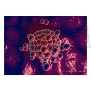 Cartão Ovos em um óvulo