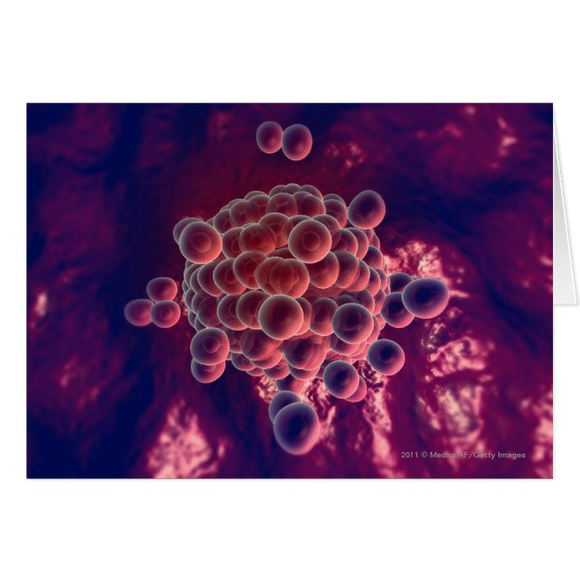 Cartão Ovos em um óvulo (Frente Horizontal)