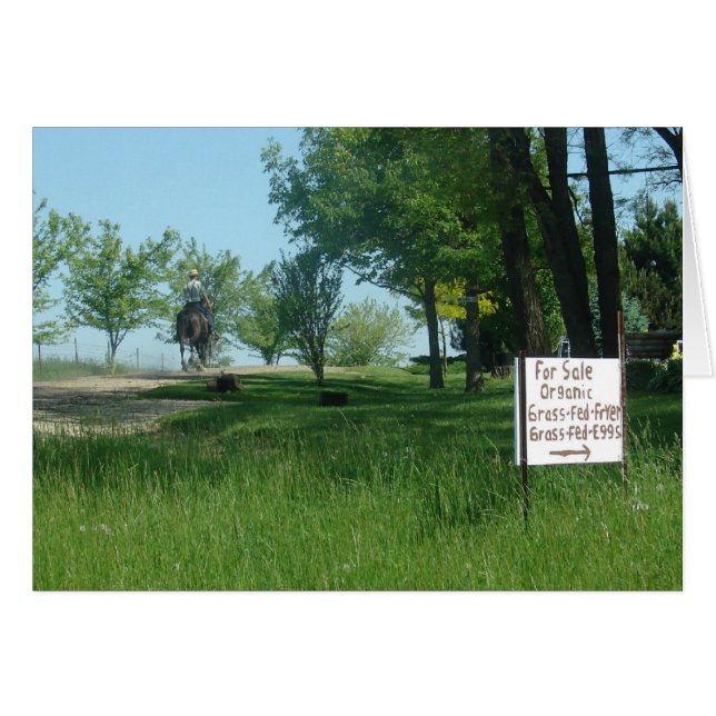 Cartão Ovos Orgânicos De Grama Alimentado (Frente Horizontal)