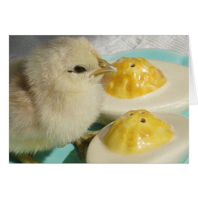 Cartão Ovos pintinhos e Devolvidos 2 (Frente Horizontal)