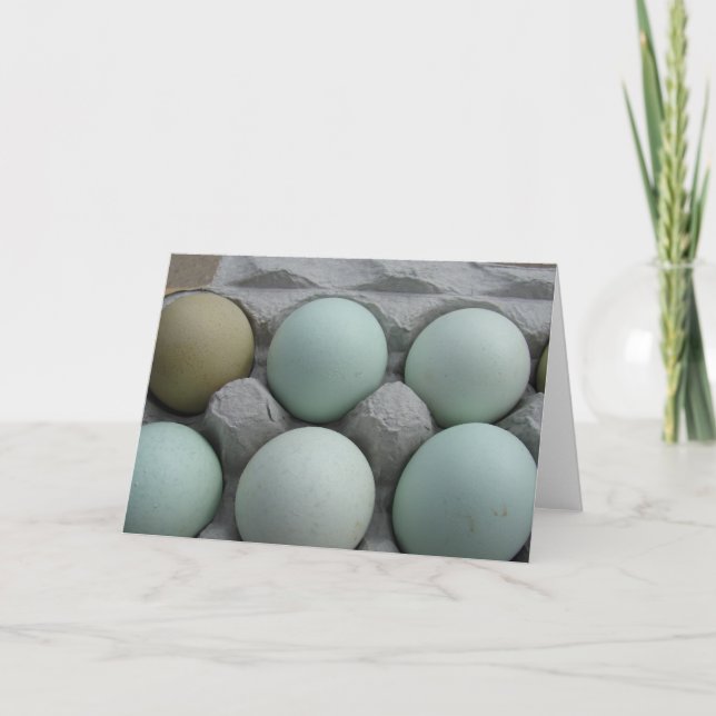 Cartão Ovos Verdes (Frente)