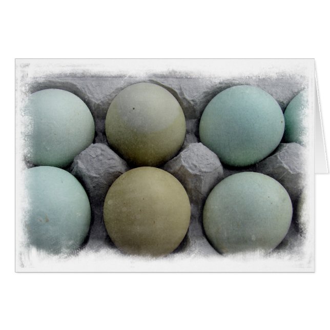 Cartão Ovos Verdes (Frente Horizontal)