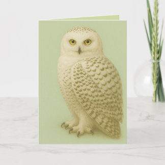 Cartão "Owl be missing you" card.