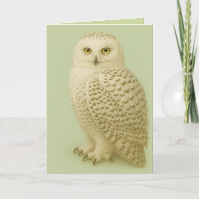 Cartão "Owl be missing you" card. (Frente)