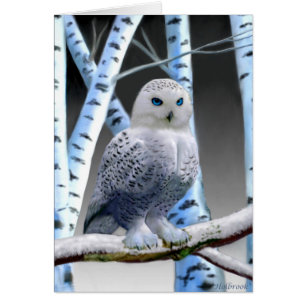 CARTÃO OWL DE NEVE AZUL