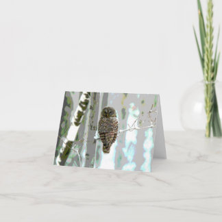 Cartão Owl In The Snow